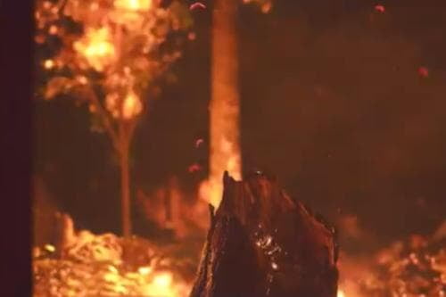 Prevalecen 15 incendios forestales en Edomex